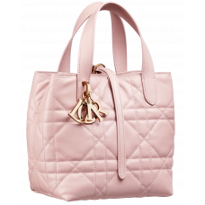 Брендовая женская сумка Dior Toujours Vertical Nano Tote Bag Powder - 01041