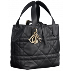 Брендовая женская сумка Dior Toujours Vertical Nano Tote Bag Black - 01043