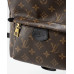 Брендовый рюкзак Louis Vuitton Palm Springs Mini Backpack PM Monogram Canvas