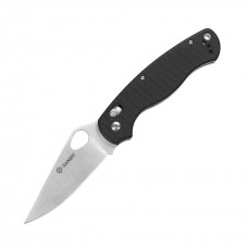 Нож складной Ganzo G729-BK (Black)