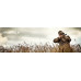 Прицел оптический Hawke Vantage IR 3-9x40 (30/30 Centre Cross IR R/G) (922107)