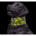 Шарф для собак BUFF Dog New R-block camo green S/M (BU 118200.845.20.00)