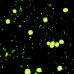 Микроскоп Optika B-293LD1 100x-1000x Trino Fluorescence (927604)
