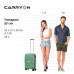 Чемодан CarryOn Transport (S) Olive (927738)