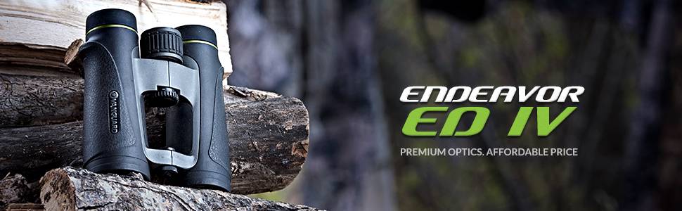 Vanguard Endeavor ED IV