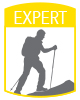 Expert