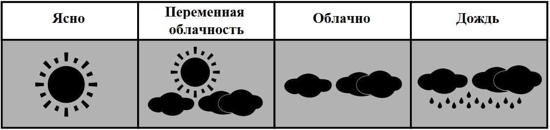 WS6740 Weather Forecast